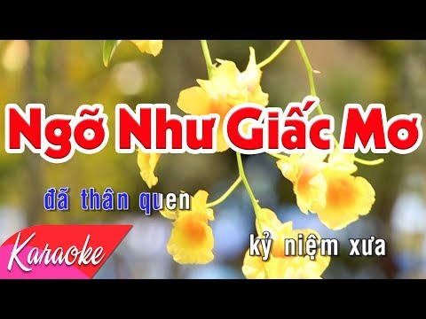 KARAOKE | Ngỡ Như Giấc Mơ - St. Nguyễn Văn Chung | Beat Chuẩn