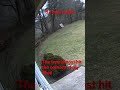 Strong winds knock down tree almost hitting my shed