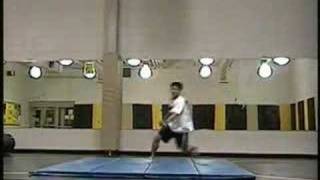 Sam Lee Kinda Recent