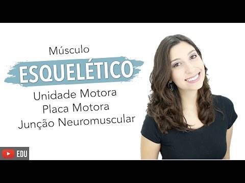 Skeletal Muscle 5/6: Motor Unit, Motor End Plate and Neuromuscular Junction | Anatomy and etc.