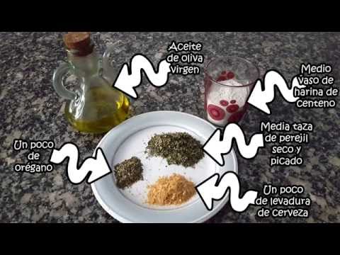 Recetas para perros y gatos: premios con especias