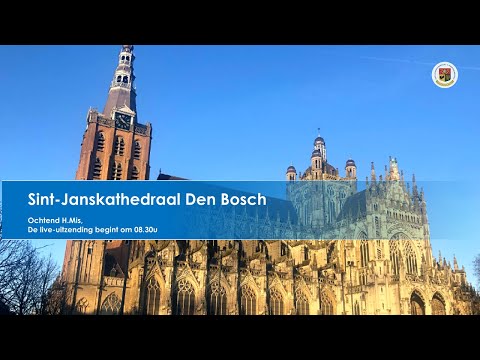 Sint-Janskathedraal Den Bosch, 13 januari 2026,  H. Mis aanvang 08.30u
