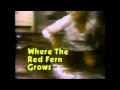 Where The Red Fern Grows TV Commercial Circa 1980