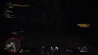 モンスターハンターワールド　いっくでー！