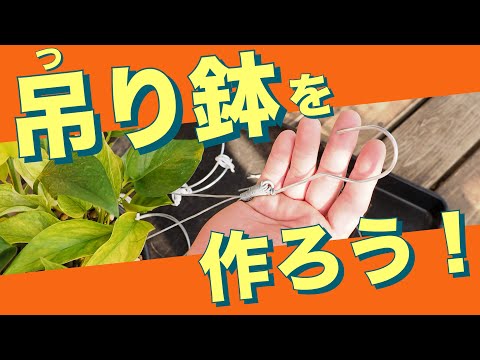 テラスとバルコニーの装飾: 吊り下げプランター用の 5 つの素晴らしい吊り下げ花  庭園