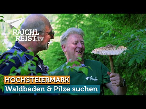 Hochsteiermark: BergZeitReise Etappe 13: Sanftes Wandern in den Mürztaler Bergen