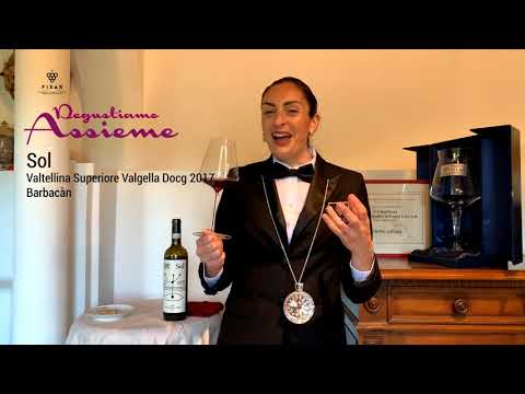 Sol Valtellina Superiore Valgella DOCG 2017 Barbacàn