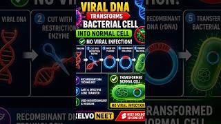 🧬 Viral DNA → Normal Cell Transformation | No Viral Infection! | Xelvo NEET #neetbiology #neet2027