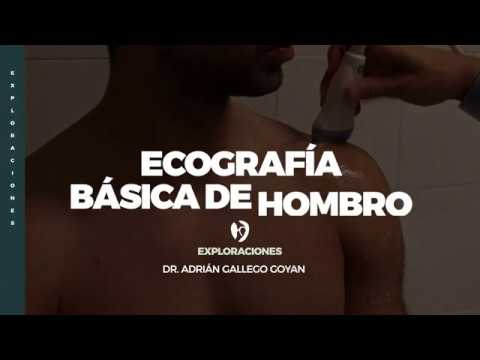 Ecografia basica de hombro