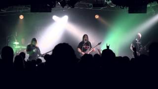 NEGLECTED FIELDS - The Spider's Kiss (Live at MP Club)