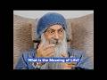 OSHO What Is The Meaning Of Life