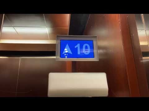 Otis Compass Plus Traction Low Rise Elevators @ Wells Fargo Center, Downtown Tampa, FL