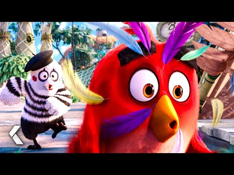 ANGRY BIRDS Movies - Best & Funniest Scenes
