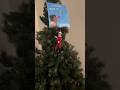 Don’t touch the elf on the shelf America 🎅🎄 #christmas #elfontheshelf