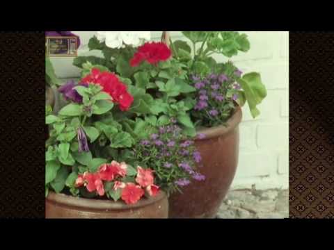 Ontdek je plekje: Stevensweert