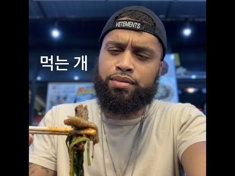 Eating DOG for the first time in South Korea!!!!!!