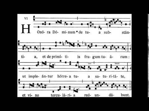COMMUNIO - Honora Dominum de tua substantia
