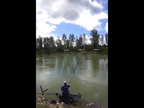 61st World Coarse Angling Championship 2014 Croatia #1
