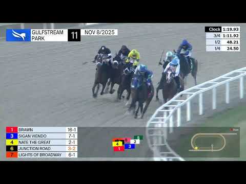Gulfstream Park November 8, 2025 Race 11