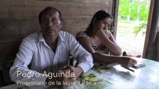 preview picture of video 'Laguna isla Paicawe - Ecuador - Tena'