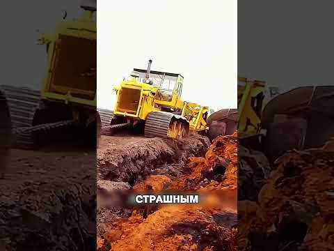 Фермер пошел ва-банк и ПРОКОРМИЛ ЦЕЛЫЙ РЕГИОН😱🔥😎