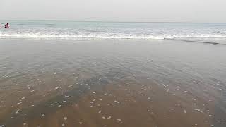 preview picture of video 'Guhagar beach|| cleanest beach ever visited'