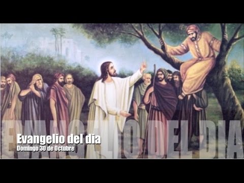 EVANGELIO DEL DIA DOMINGO 30 de Octubre Palabra de Dios