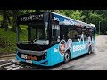 Cab View Bus Line 61 Touristic Bus Brasov