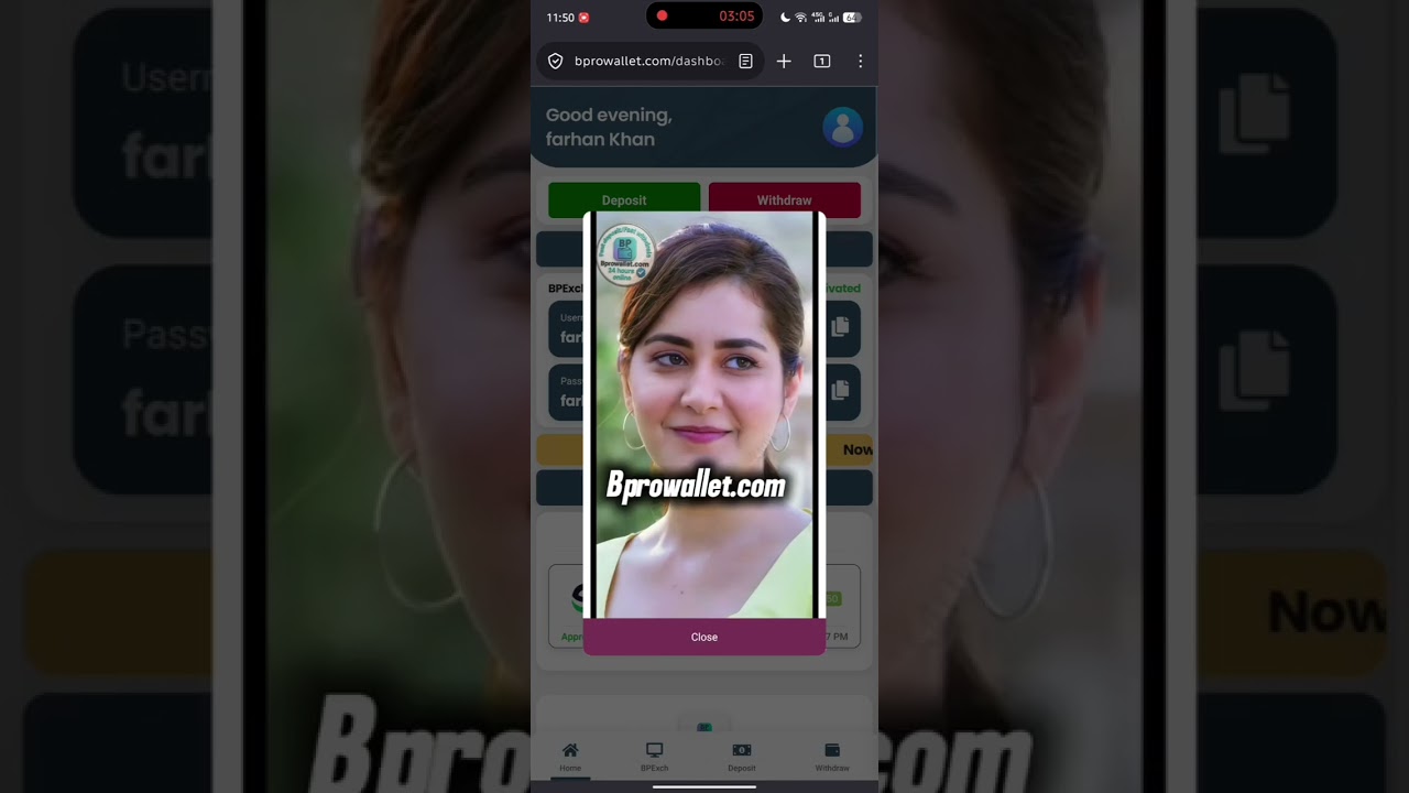 BProWallet kaise use karein