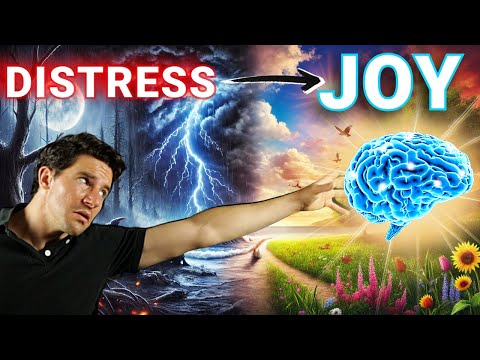 The Neuroscience of Emotions: How to Control Feelings