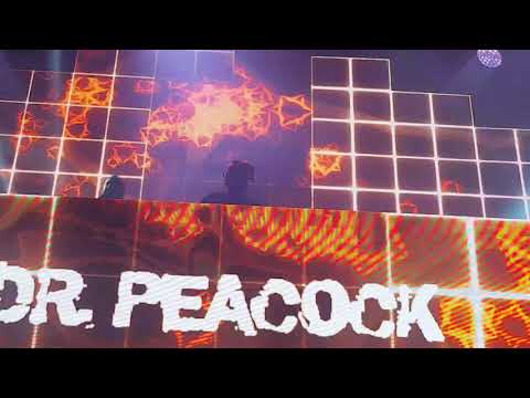 Dr Peacock & Rob GEE - Army of Hardcore 2018 -  Peacock is my trip Advisor