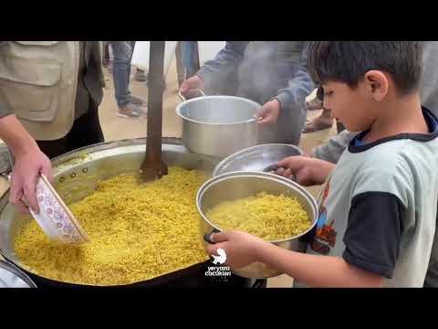 Hot Meal Distribution in Gaza
