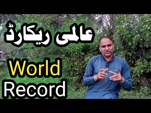 Abdul Hakim Awal Breaks Tree-Hugging World Record for Nature Conservation in Ghana