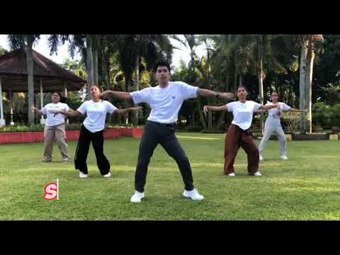 termos de movimento de anatomia no pathfit