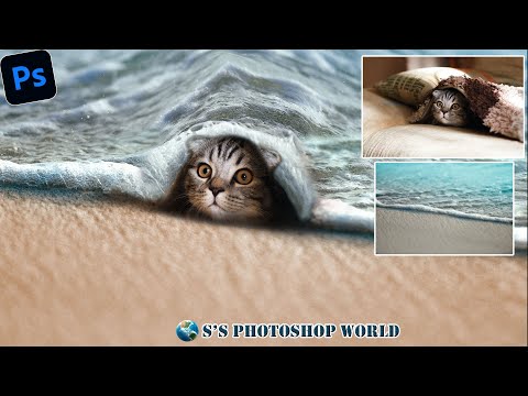 cat manipulation in Photoshop.Shanthi's Photoshop world