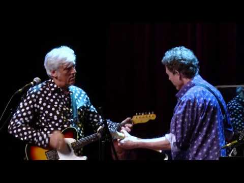 Robyn Hitchcock - Madonna Of The Wasps (eTown webisode #1020)