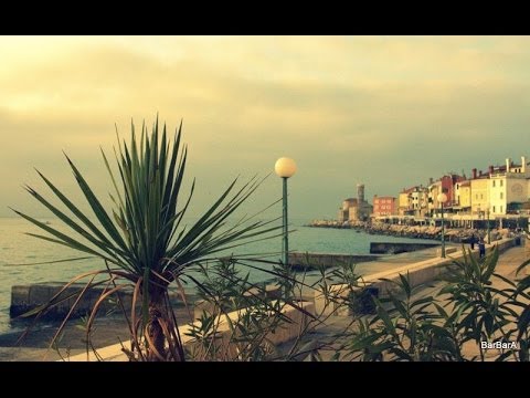 V NAROČJU NEKEGA POPOLDNEVA - NACE JUNKAR