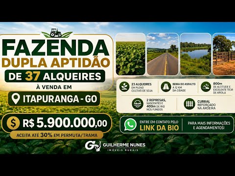 🌾 Fazenda 37 Alqueires (179 Hectares) à Venda em Itapuranga - GO | Dupla Aptidão