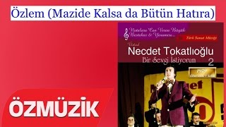 Özlem (Mazide Kalsa da Bütün Hatıra) - Necdet Tokatlıoğlu (Official Video)