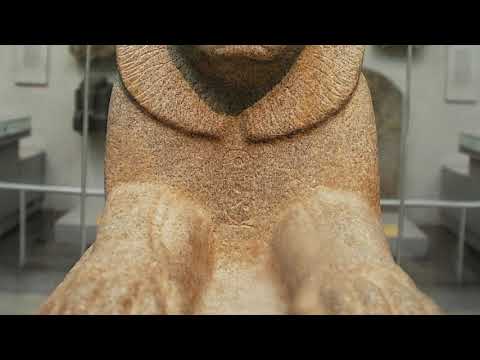 Plottin- Jawash ft. YlG Lynn x Devin Desean