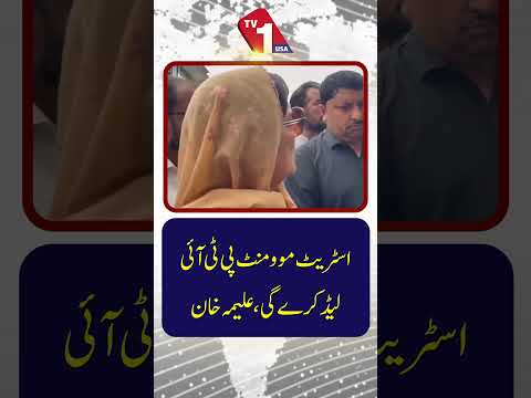 اسٹریٹ مومنٹ تحریک انصاف لیڈ کرے گی