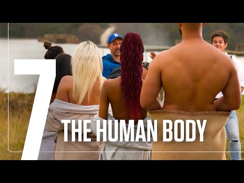 The Human Body | S2E7 | The Perfect Picture
