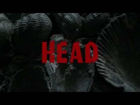 Prof. Winkler - In your head OFFICIAL VIDEO