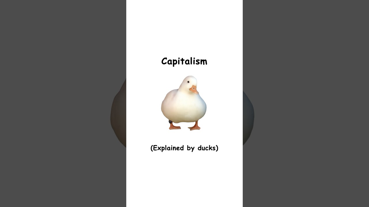 Capitalism (explained by ducks)