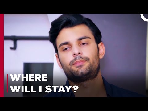 Yağız Searches For A Place To Stay - Can't Stop Loving You