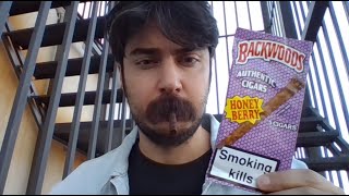 BACKWOOD BALLI BÖĞÜRTLEN PURO İNCELEMESİ!