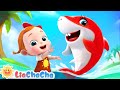 Baby Shark Dance Song Baby Shark Doo Doo Doo Kids Songs Nursery Rhymes LiaChaCha