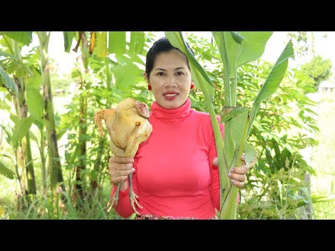 Awesome Cooking Banana Tree With Big Chicken Recipe Delicious In My Village - Village Food Factory
