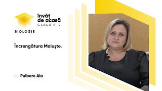 Încrengătura Moluşte