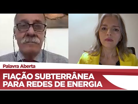 Paulo Ramos defende prazo para troca de fiação aérea por fiação subterrânea de energia - 22/02